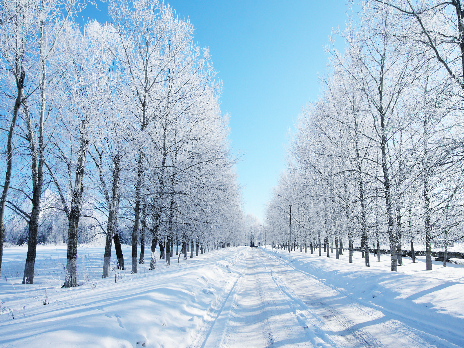 WINTER